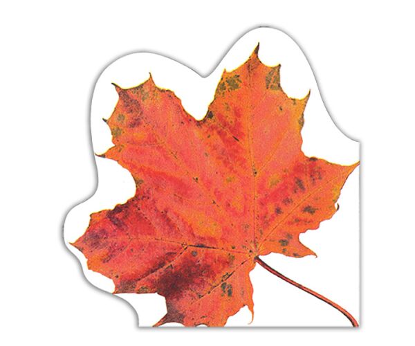 Ubrousky MAKI R (12ks) Autumn Leaf